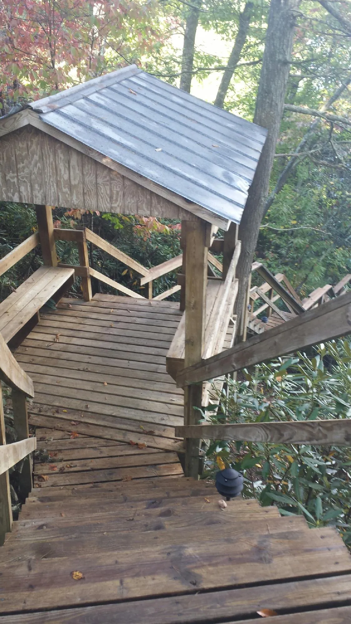 Metal roofed shelter over wooden steps on a wooded walkway — Skylight Repair & Installation work by our crew in Perkinston